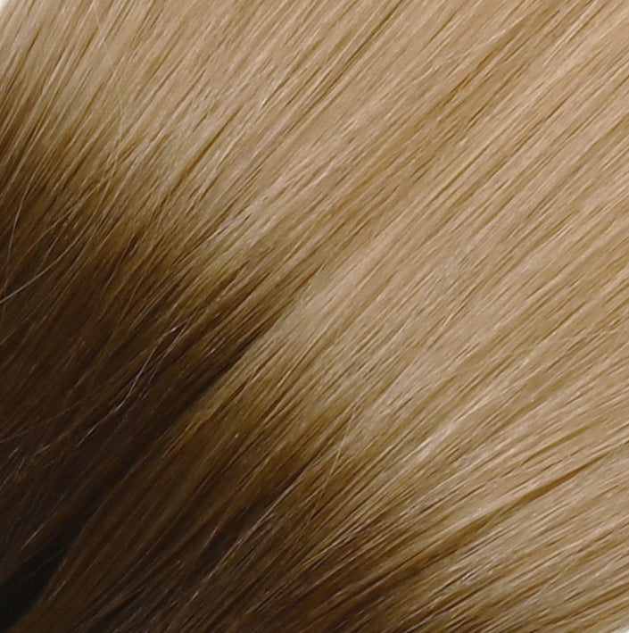 Tape Extensions - PROFESSIONAL
