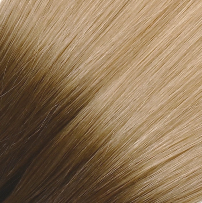 Tape Extensions - PROFESSIONAL